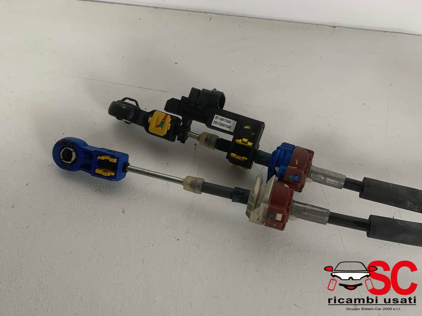 CORDE CAMBIO FIAT Panda 3° Serie diesel (12>)