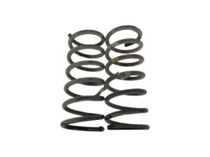 COPPIA MOLLE SOSPENSIONI POSTERIORI FIAT Panda 3° Serie (12>)