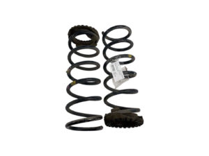 COPPIA MOLLE SOSPENSIONI POSTERIORI FIAT Panda 3° Serie (12>)