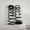 COPPIA MOLLE SOSPENSIONI POSTERIORI FIAT Panda 3° Serie (12>)