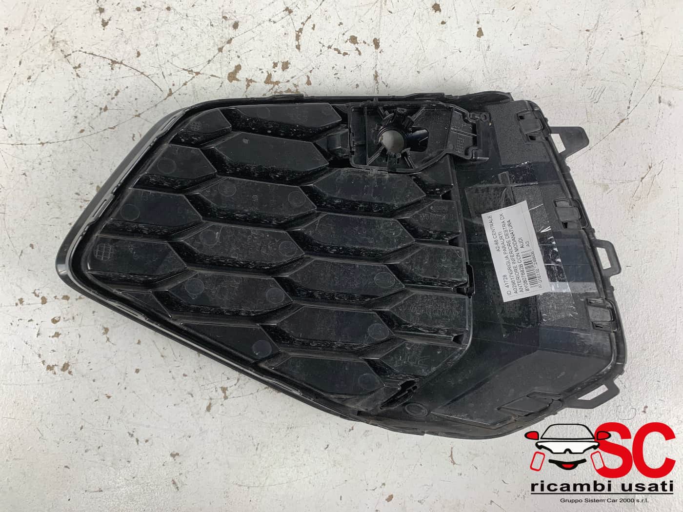 Griglia Paraurti Anteriore Audi A3 1.4 Ibrida 8Y0807682B - 41728