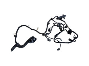 CABLAGGIO PORTA ANTERIORE SINISTRA FORD Fiesta 7° Serie H1BT14631 (17>>)