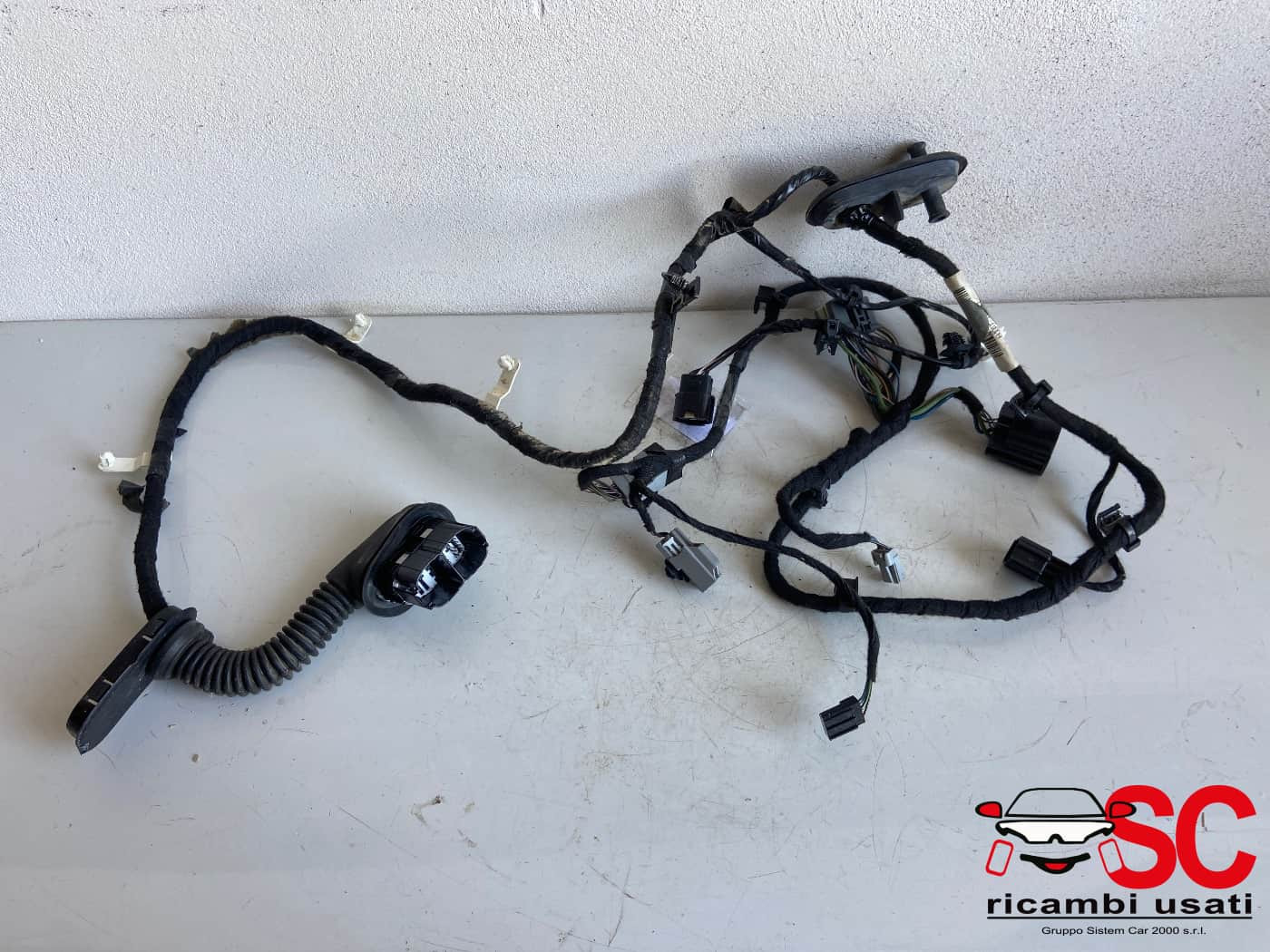 CABLAGGIO PORTA ANTERIORE SINISTRA FORD Fiesta 7° Serie H1BT14631 (17>>)