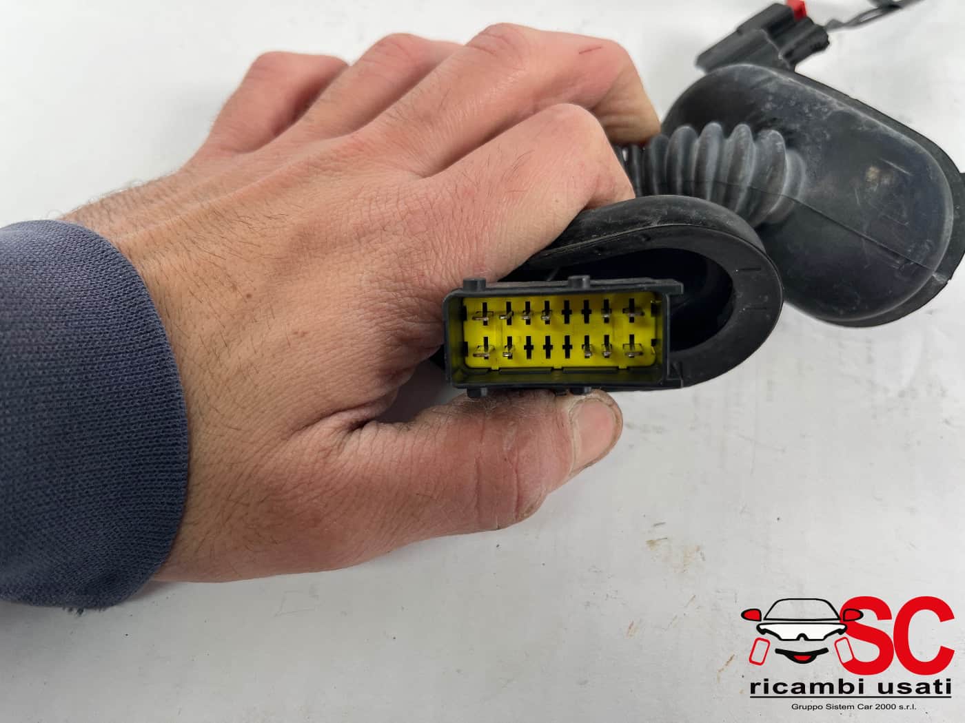 Cablaggio Impianto Porta Post Sx Opel Crossland X 39244914 YQ01060980 - 42588 Cablaggio Impianto Porta Post Sx Opel Crossland X 39244914 YQ01060980 - 42588