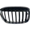Griglia Paraurti Anteriore Bmw X1 F48 51137354824 - 40997