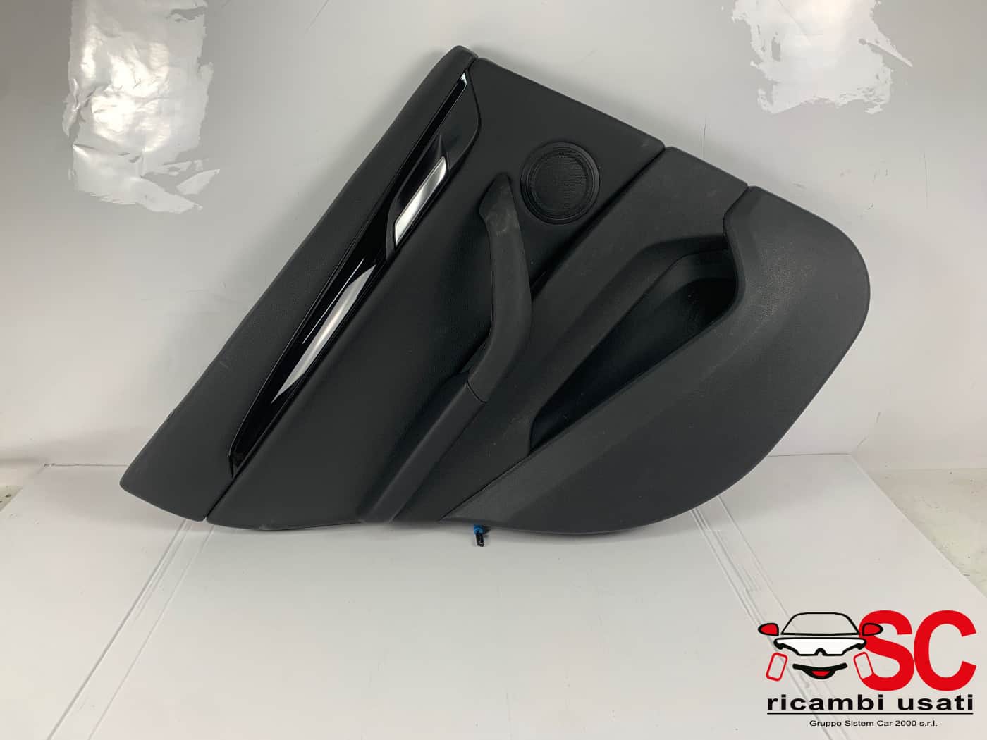 Pannello Porta Posteriore Sinistra Bmw X1 F48 51427438103 - 43215 Pannello Porta Posteriore Sinistra Bmw X1 F48 51427438103 - 43215