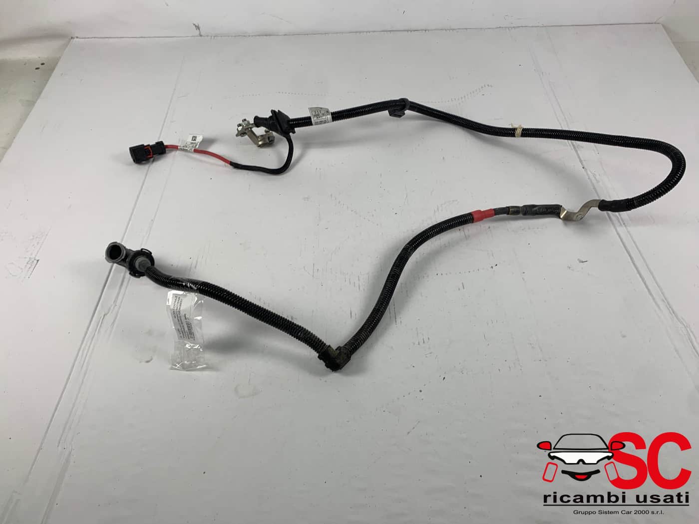 Cavo Impianto Batteria Bmw X1 F48 12638589051 12428654632 - 43250