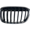 GRIGLIA PARAURTI BMW X1 Serie (F48) 51137354823 (15>)
