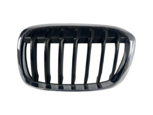 GRIGLIA PARAURTI BMW X1 Serie (F48) 51137354823 (15>)
