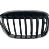 GRIGLIA PARAURTI BMW X1 Serie (F48) 51137354824 (15>)