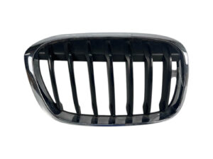 GRIGLIA PARAURTI BMW X1 Serie (F48) 51137354824 (15>)
