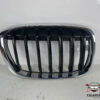 GRIGLIA PARAURTI BMW X1 Serie (F48) 51137354824 (15>)