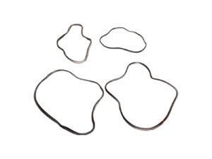 GUARNIZIONE PORTIERA ANTERIORE DESTRA BMW X1 Serie (F48) (15>)