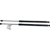 PISTONCINI COFANO POST. VOLKSWAGEN Tiguan Restyling Serie 5NA827550E (20>)