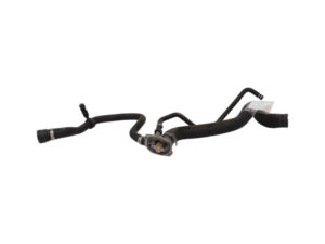 55202176 55202176 TERMOSTATO FIAT 500 L Serie (351_352) benzina