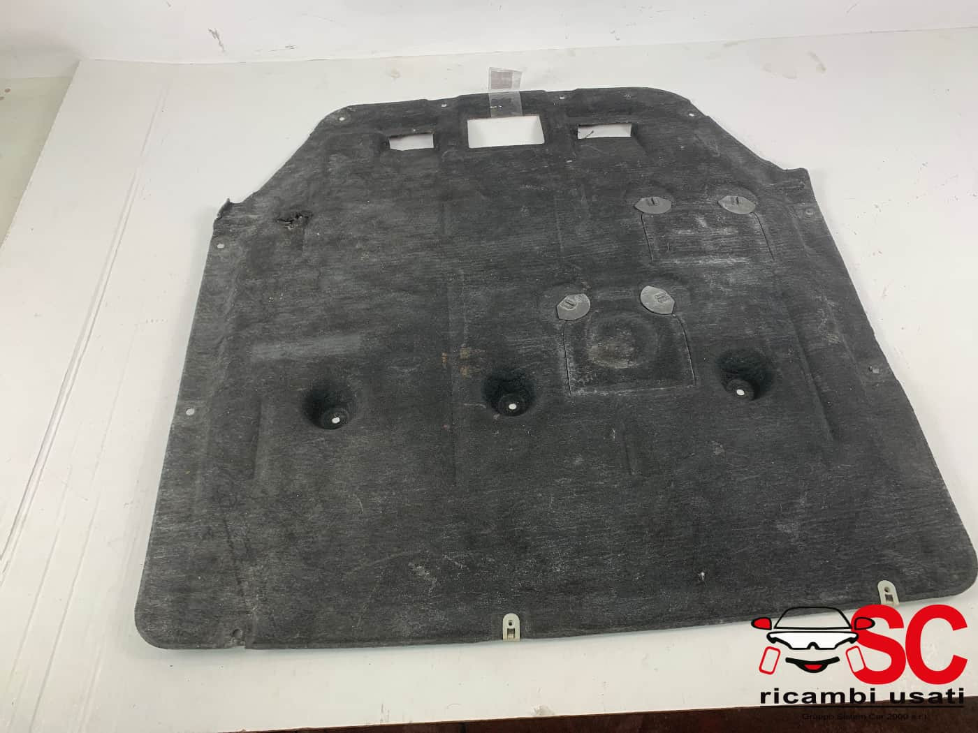 51757343142 51757343142 RIPARO SOTTO MOTORE BMW X1 Serie (F48) benzina