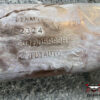 MARMITTA COMPLETA DI TERMINALE SCARICO DACIA Jogger Serie 208024992R (21>)
