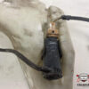 2T1417618AB 2T1417618AB VASCHETTA TERGI ANT FORD Transit Connect 2° Serie diesel