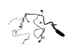 CABLAGGIO PORTA ANTERIORE SINISTRA BMW X3 2° Serie 9243646 (10>)