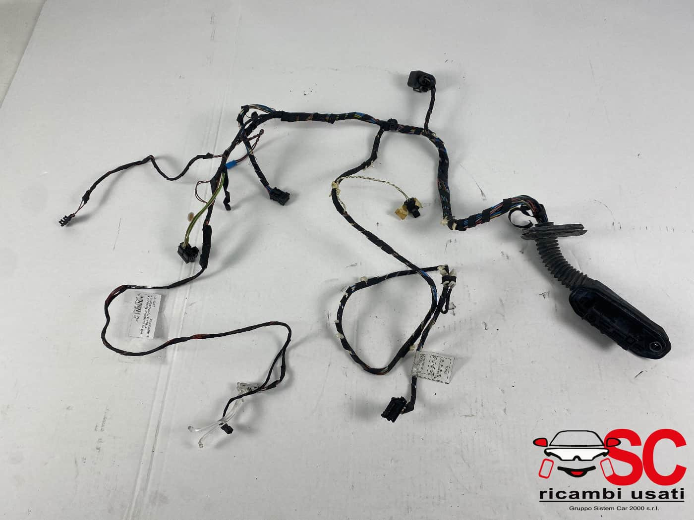 CABLAGGIO PORTA ANTERIORE SINISTRA BMW X3 2° Serie 9243646 (10>)