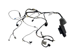 CABLAGGIO PORTA ANTERIORE DESTRA BMW X3 2° Serie 9243655 (10>)