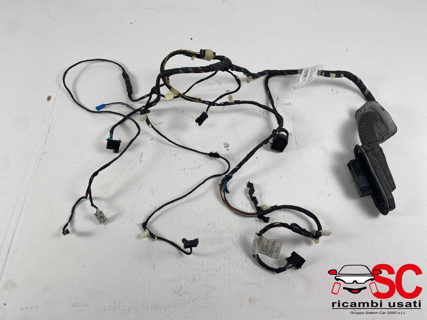 CABLAGGIO PORTA ANTERIORE DESTRA BMW X3 2° Serie 9243655 (10>)
