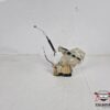 Serratura Posteriore Sinistra Alfa Romeo Giulia 50536550 - 48149