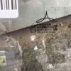 VETRO SCENDENTE POSTERIORE DESTRO RENAULT CLIO Serie V 823009796R H4M C6 (19>)
