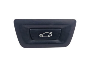 PULSANTE BMW X5 (F15) 9275119 (13>18)