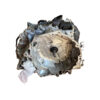 CAMBIO AUTOMATICO BMW X2 F39 AWF8G45 B47C20B Diesel 2.0 (18>)