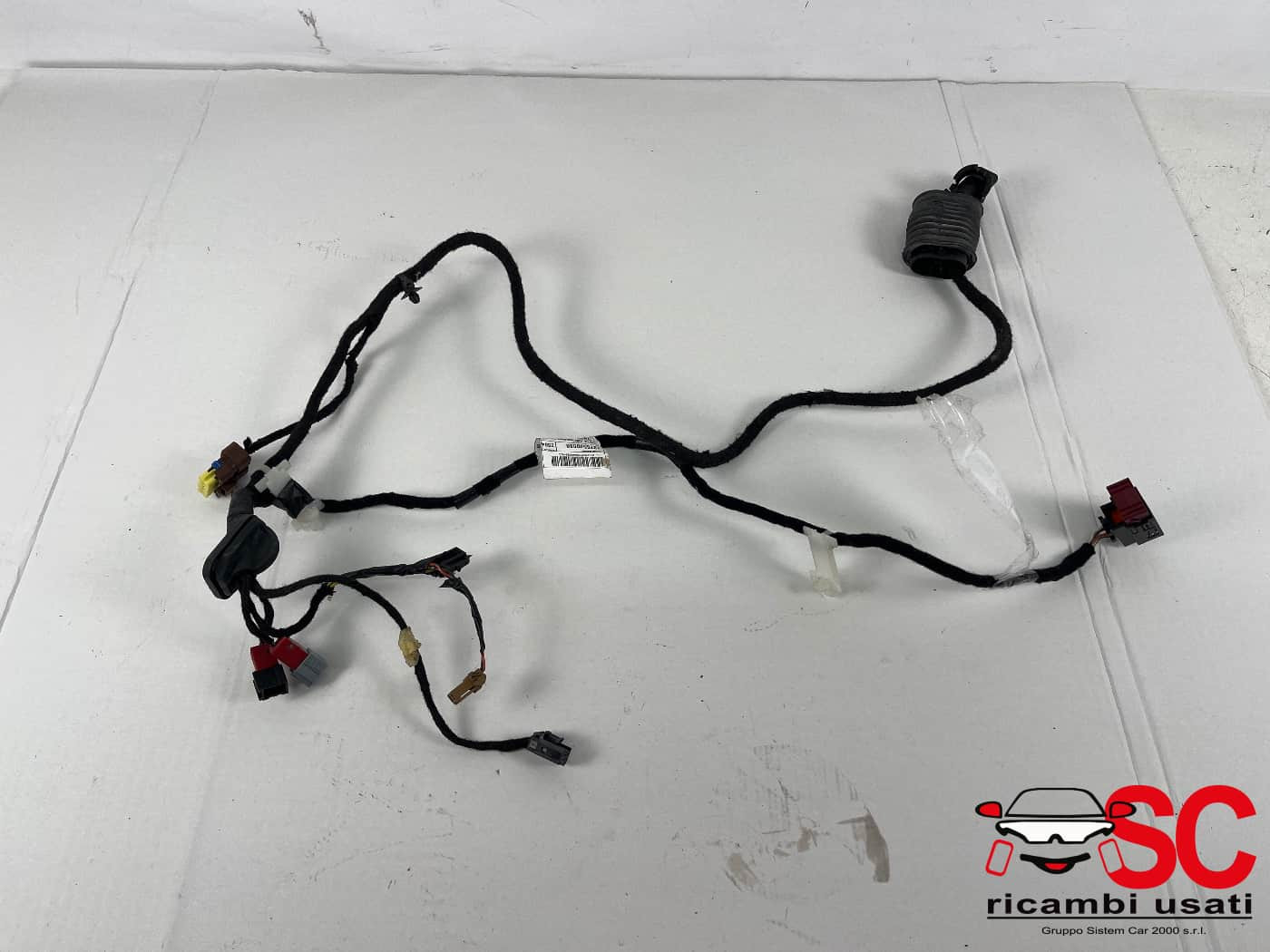 CABLAGGIO PORTA ANTERIORE SINISTRA CITROEN Jumper Serie 1376570080 (14>)