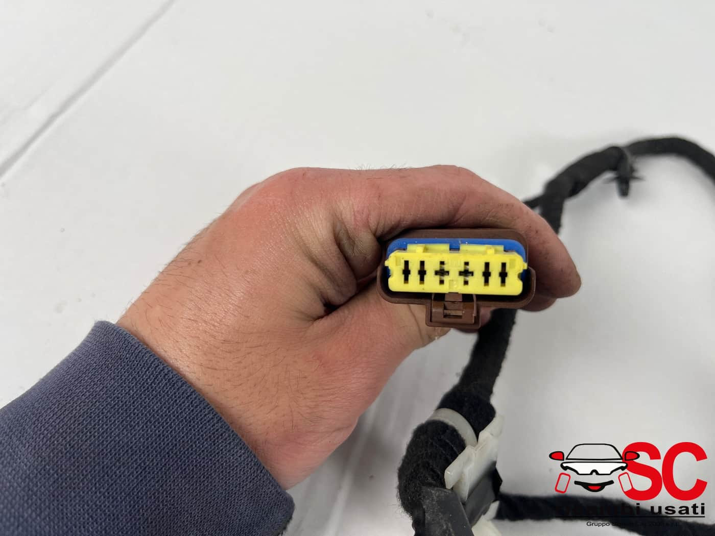 CABLAGGIO PORTA ANTERIORE SINISTRA CITROEN Jumper Serie 1376570080 (14>)