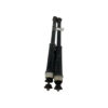COPPIA AMMORTIZZATORI RENAULT CLIO Serie V 562103002R (19>)