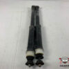 COPPIA AMMORTIZZATORI RENAULT CLIO Serie V 562103002R (19>)
