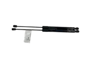 PISTONCINI COFANO POST. CITROEN C3 AirCross 39197491 (17>)