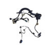 CABLAGGIO PORTA ANTERIORE DESTRA DACIA Jogger Serie 241250817R (21>)