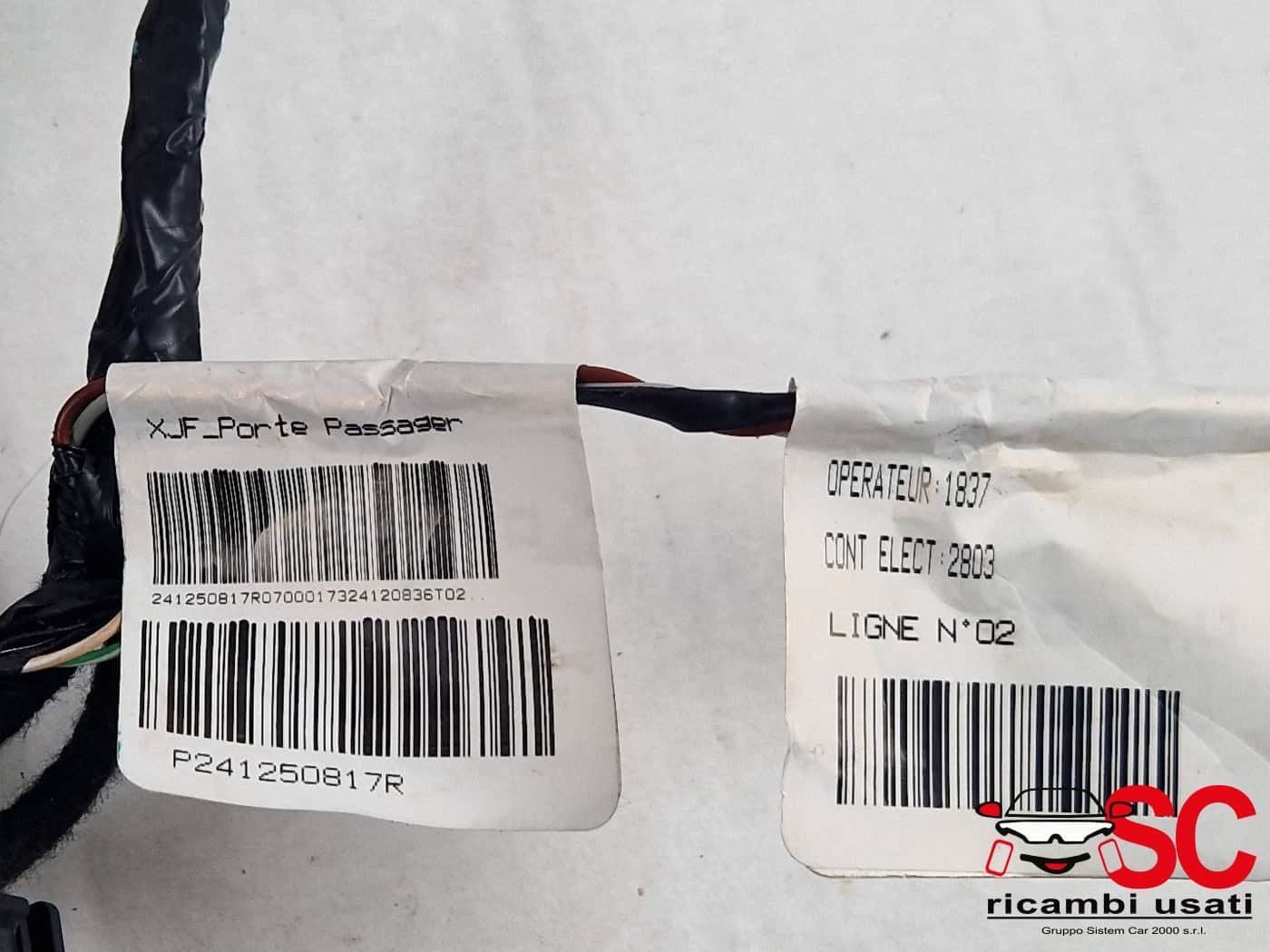 CABLAGGIO PORTA ANTERIORE DESTRA DACIA Jogger Serie 241250817R (21>)
