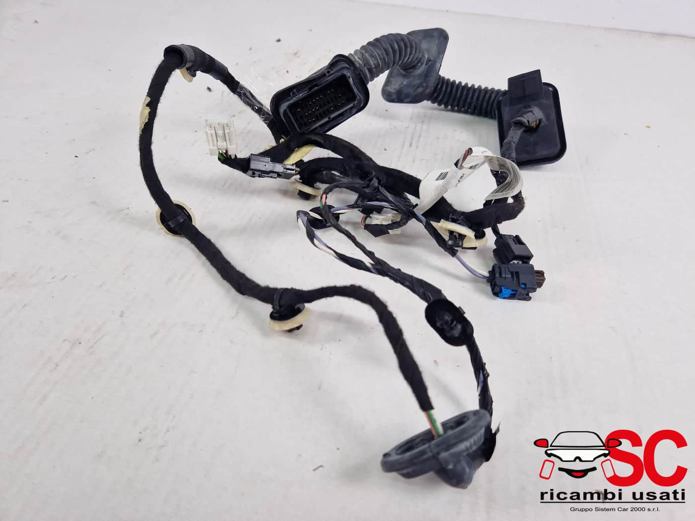 CABLAGGIO PORTA ANTERIORE DESTRA DACIA Jogger Serie 241250817R (21>)