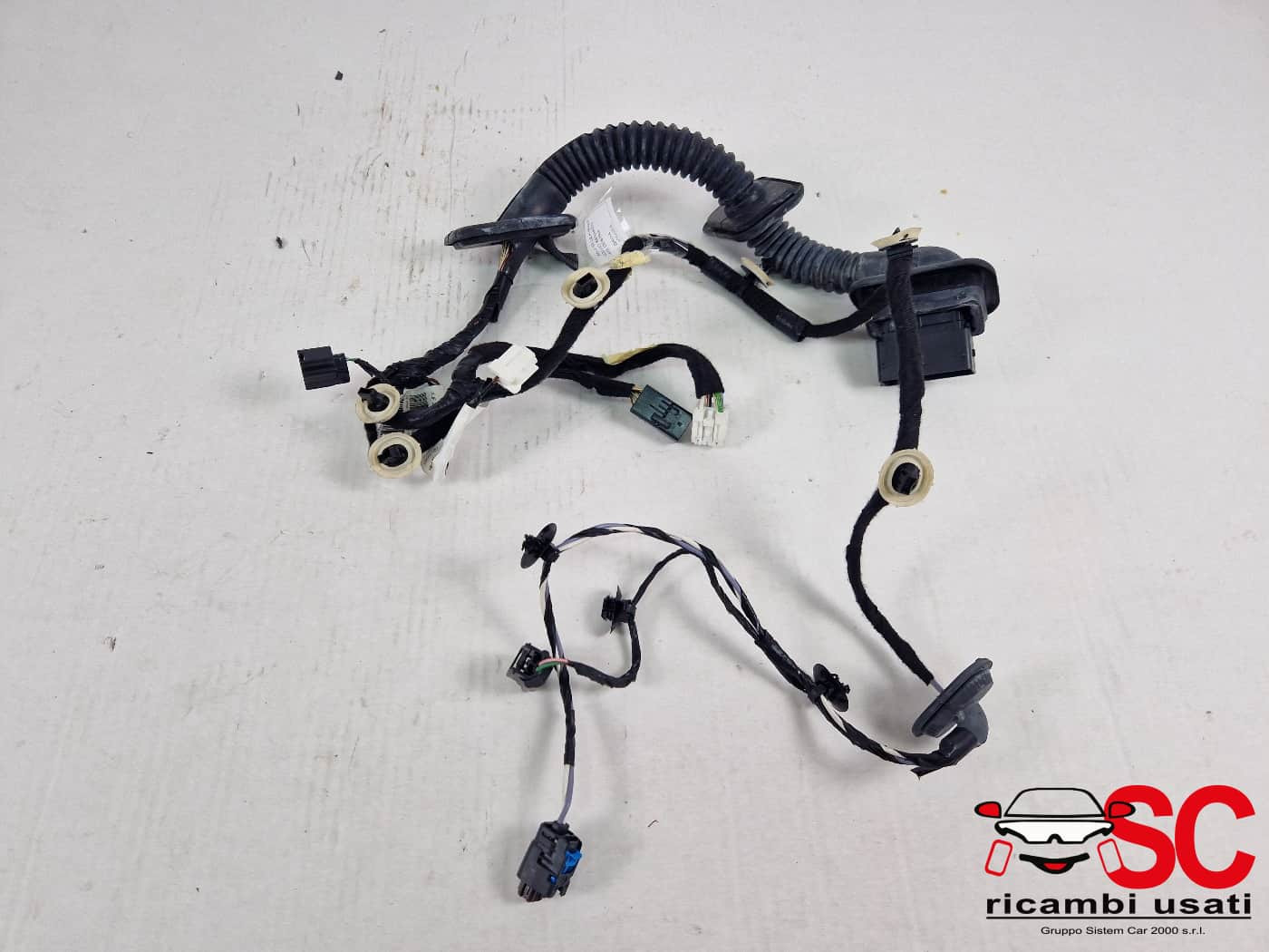 CABLAGGIO PORTA ANTERIORE DESTRA DACIA Jogger Serie 241250817R (21>)
