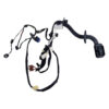 CABLAGGIO PORTA ANTERIORE SINISTRA DACIA Jogger Serie 241257506R (21>)