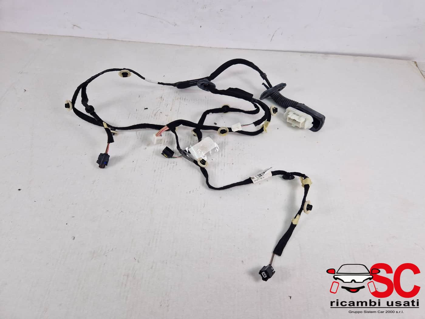 CABLAGGIO PORTA POSTERIORE DESTRA DACIA Jogger Serie 241269955R (21>)
