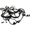 1026300GK041 IMPIANTO ELETTRICO MOTORE DR 4 Serie benzina