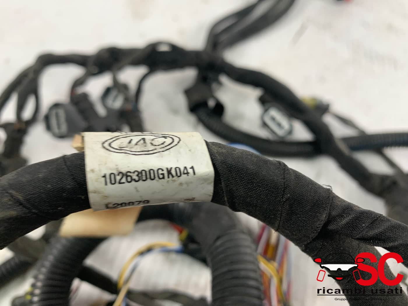 1026300GK041 IMPIANTO ELETTRICO MOTORE DR 4 Serie benzina