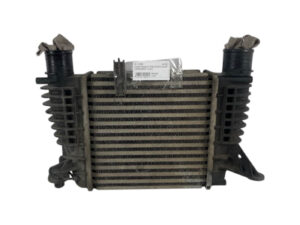 14461EM00A INTERCOOLER NISSAN Juke Serie F15 diesel
