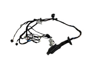 IMPIANTO ELETTRICO (CABLAGGIO) PORTA ANTERIORE SX BMW X2 F39 8795804 (18>)