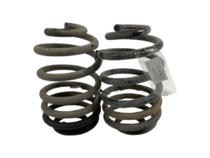 COPPIA MOLLE SOSPENSIONI POSTERIORI RENAULT Trafic Serie 550200619R (14>)
