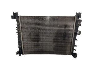 214107600R RADIATORE ACQUA RENAULT Express Serie diesel