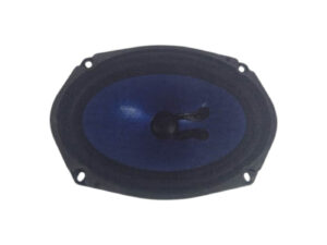 ALTOPARLANTE JEEP Compass Serie 53103951 (16>)