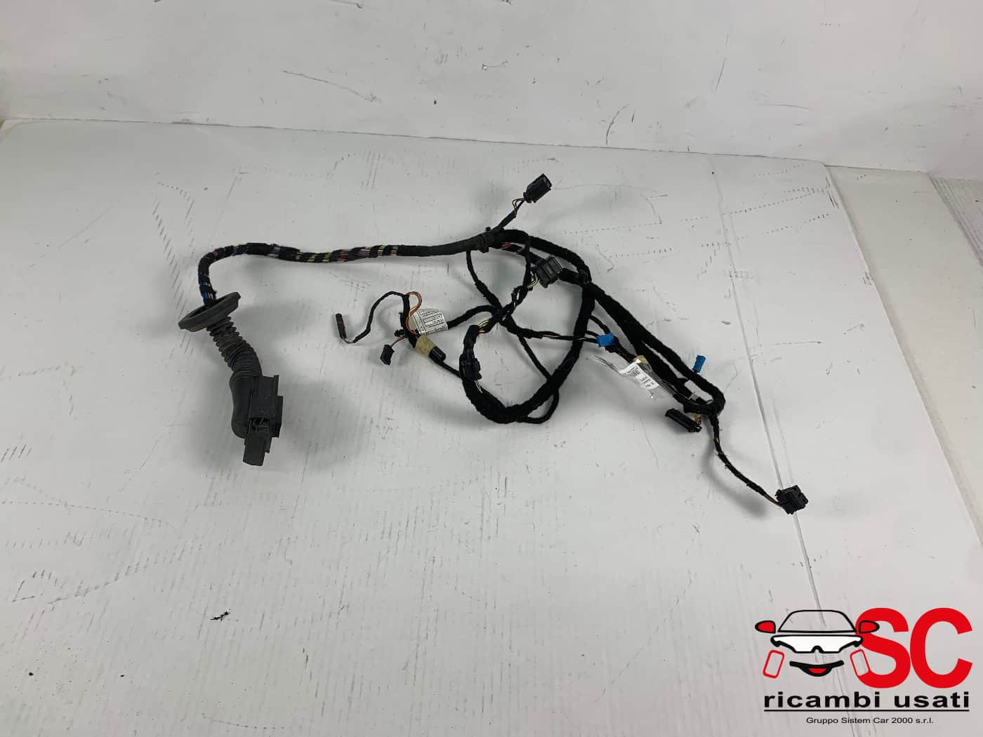 IMPIANTO ELETTRICO (CABLAGGIO) PORTA ANTERIORE DX BMW X1 Serie (F48) 9384579 (15>)