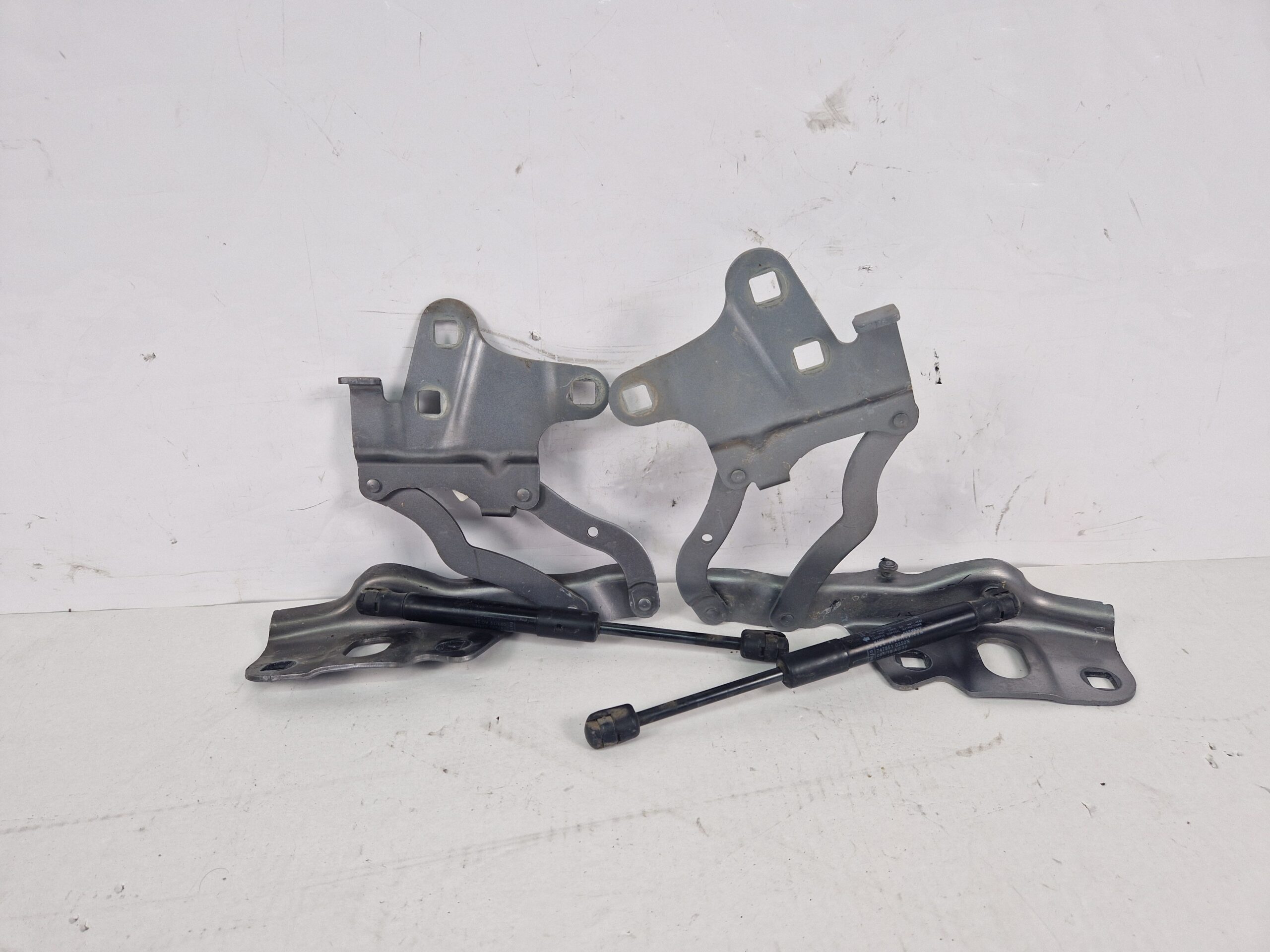 CERNIERE COFANO ANTERIORE DX E SX ALFA ROMEO Stelvio Serie (949_) 50535404 (16>)